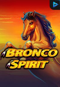 Bronco Spirit